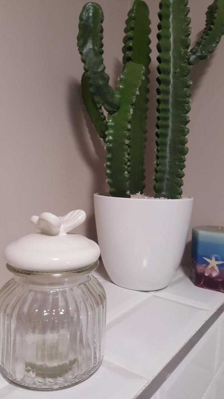 La Casita Del Laurel Casa Entera By Apartamentos 洛格罗尼奥 外观 照片